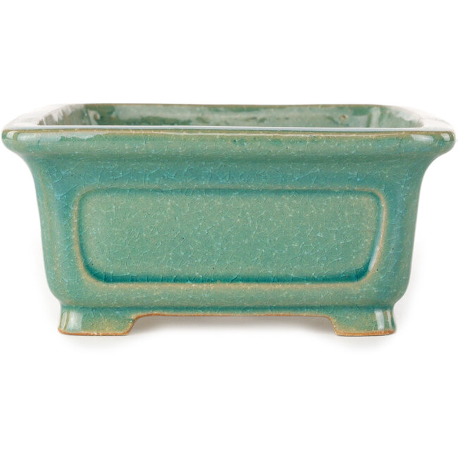 Maceta rectangular para bonsái craquelé turquesa de Shibakatsu - 197 x 150 x 67 mm