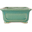 Pot à bonsaï rectangulaire craquelé turquoise par Shibakatsu - 197 x 150 x 67 mm