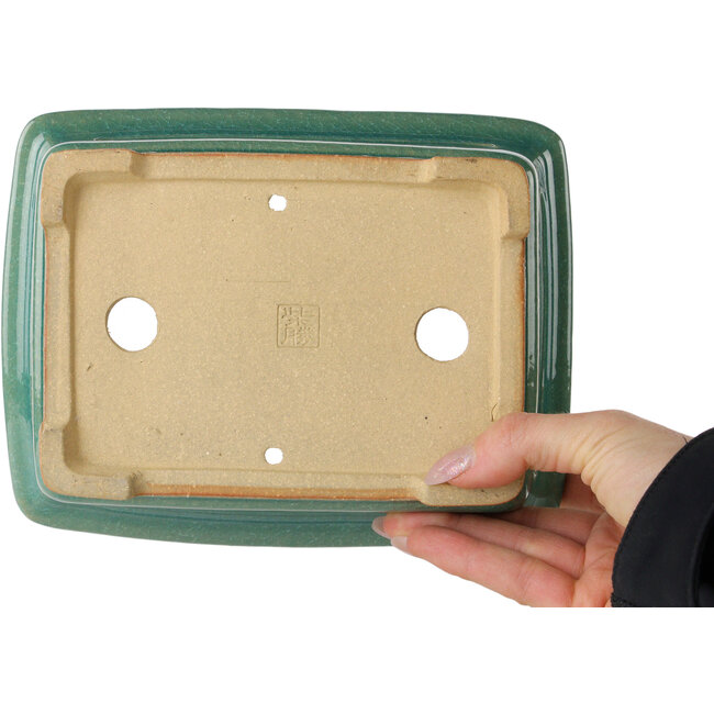 Maceta rectangular para bonsái craquelé turquesa de Shibakatsu - 197 x 150 x 67 mm