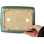 Maceta rectangular para bonsái craquelé turquesa de Shibakatsu - 197 x 150 x 67 mm