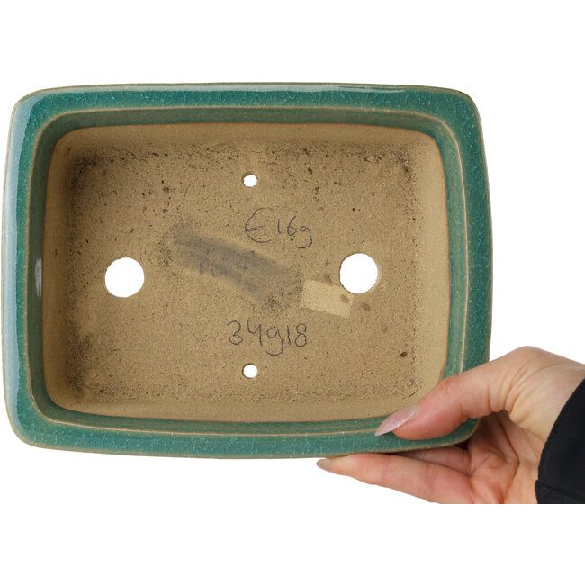 Vaso bonsai rettangolare turchese craquelé di Shibakatsu - 197 x 150 x 67 mm