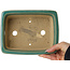 Pot à bonsaï rectangulaire craquelé turquoise par Shibakatsu - 197 x 150 x 67 mm