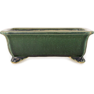  Shibakatsu (Katsuichi Shibata) Maceta para bonsái rectangular de color verde oscuro de 190 mm de Shibakatsu, Tokoname, Japón