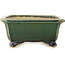 Rectangular dark green bonsai pot by Shibakatsu - 190 x 157 x 63 mm
