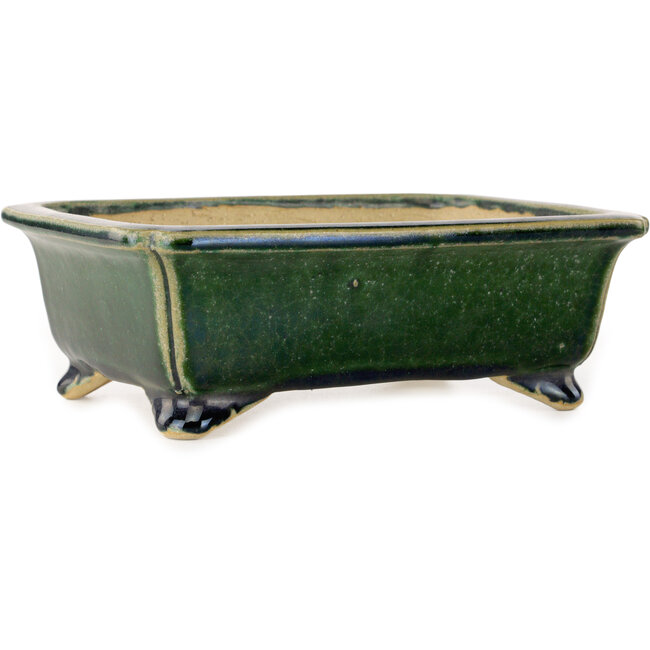Rectangular dark green bonsai pot by Shibakatsu - 190 x 157 x 63 mm