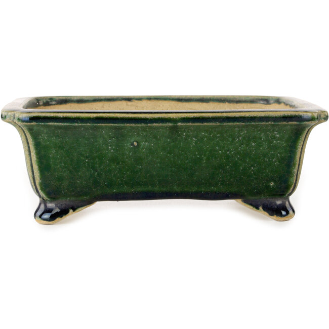 Maceta rectangular verde oscuro para bonsái de Shibakatsu - 190 x 157 x 63 mm