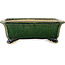 Vaso bonsai rettangolare verde scuro di Shibakatsu - 190 x 157 x 63 mm