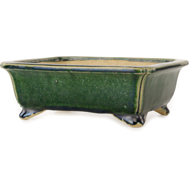Pot à bonsaï rectangulaire vert foncé de Shibakatsu - 190 x 157 x 63 mm