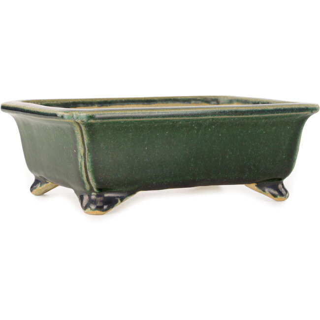 Pot à bonsaï rectangulaire vert foncé de Shibakatsu - 190 x 157 x 63 mm