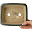 Pot à bonsaï rectangulaire vert foncé de Shibakatsu - 190 x 157 x 63 mm