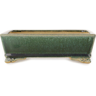  Shibakatsu (Katsuichi Shibata) Maceta para bonsái rectangular de color verde oscuro de 178 mm de Shibakatsu, Tokoname, Japón