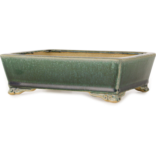 Vaso bonsai rettangolare verde scuro di Shibakatsu - 178 x 136 x 55 mm