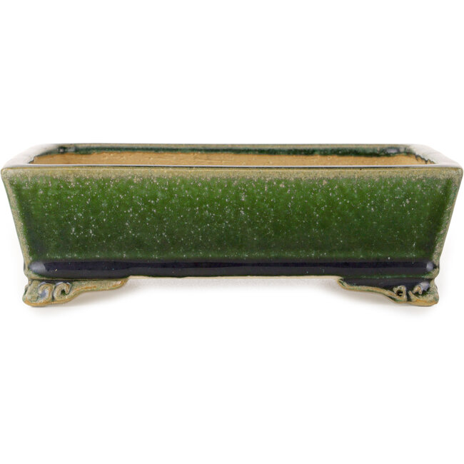 Maceta rectangular verde oscuro para bonsái de Shibakatsu - 178 x 136 x 55 mm