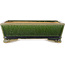Maceta rectangular verde oscuro para bonsái de Shibakatsu - 178 x 136 x 55 mm