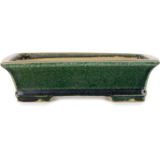  Shibakatsu (Katsuichi Shibata) Maceta para bonsái rectangular de color verde oscuro de 195 mm de Shibakatsu, Tokoname, Japón