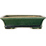 Pot à bonsaï rectangulaire vert foncé de Shibakatsu - 195 x 150 x 53 mm