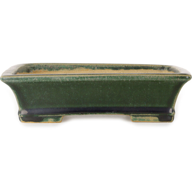 Rectangular dark green bonsai pot by Shibakatsu - 195 x 150 x 53 mm