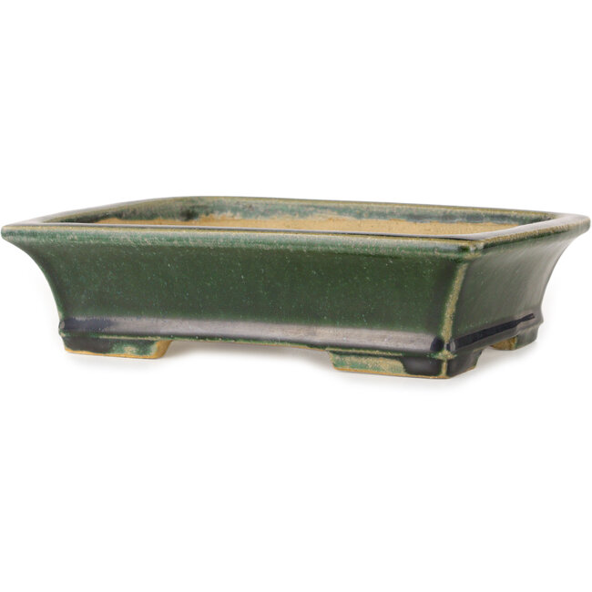 Rechteckiger, dunkelgrüner Bonsai-Topf von Shibakatsu – 195 x 150 x 53 mm