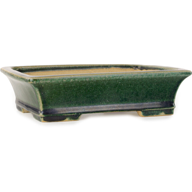 Rechteckiger, dunkelgrüner Bonsai-Topf von Shibakatsu – 195 x 150 x 53 mm