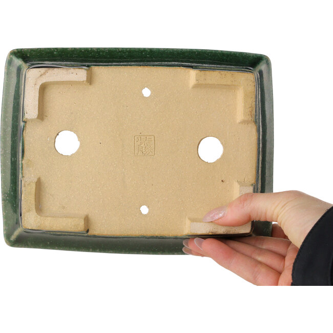 Rechthoekige donkergroene bonsaipot van Shibakatsu - 195 x 150 x 53 mm