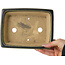 Rectangular dark green bonsai pot by Shibakatsu - 195 x 150 x 53 mm