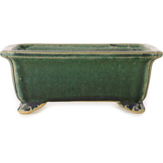  Shibakatsu (Katsuichi Shibata) Pot à bonsaï rectangulaire vert foncé de 157 mm par Shibakatsu, Tokoname, Japon