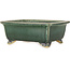 Rechthoekige donkergroene bonsaipot van Shibakatsu - 157 x 132 x 65 mm