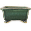 Rectangular dark green bonsai pot by Shibakatsu - 157 x 132 x 65 mm