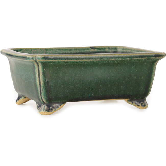 Rechteckiger, dunkelgrüner Bonsai-Topf von Shibakatsu – 157 x 132 x 65 mm