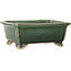 Vaso bonsai rettangolare verde scuro di Shibakatsu - 157 x 132 x 65 mm
