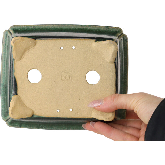 Pot à bonsaï rectangulaire vert foncé de Shibakatsu - 157 x 132 x 65 mm