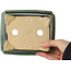 Rechthoekige donkergroene bonsaipot van Shibakatsu - 157 x 132 x 65 mm