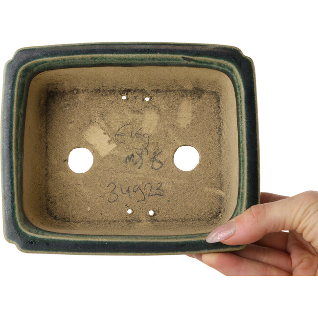Pot à bonsaï rectangulaire vert foncé de Shibakatsu - 157 x 132 x 65 mm