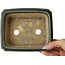 Pot à bonsaï rectangulaire vert foncé de Shibakatsu - 157 x 132 x 65 mm