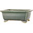 Rectangular dark green bonsai pot by Shibakatsu - 157 x 132 x 65 mm