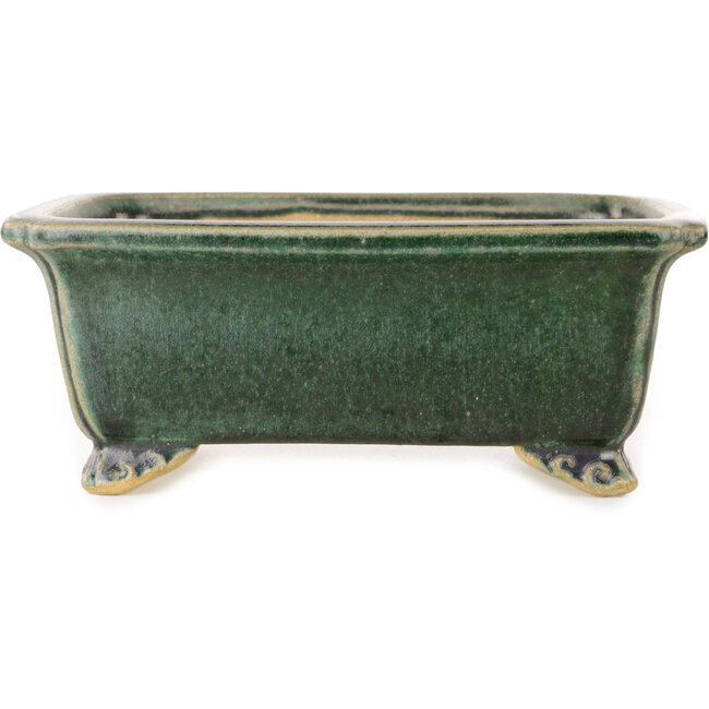 Vaso bonsai rettangolare verde scuro di Shibakatsu - 157 x 132 x 65 mm