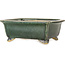 Vaso bonsai rettangolare verde scuro di Shibakatsu - 157 x 132 x 65 mm