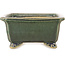 Pot à bonsaï rectangulaire vert foncé de Shibakatsu - 157 x 132 x 65 mm