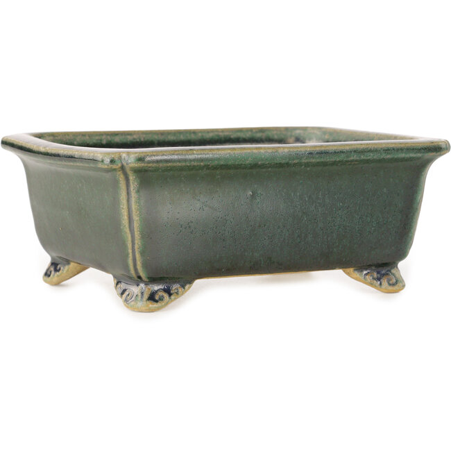 Pot à bonsaï rectangulaire vert foncé de Shibakatsu - 157 x 132 x 65 mm
