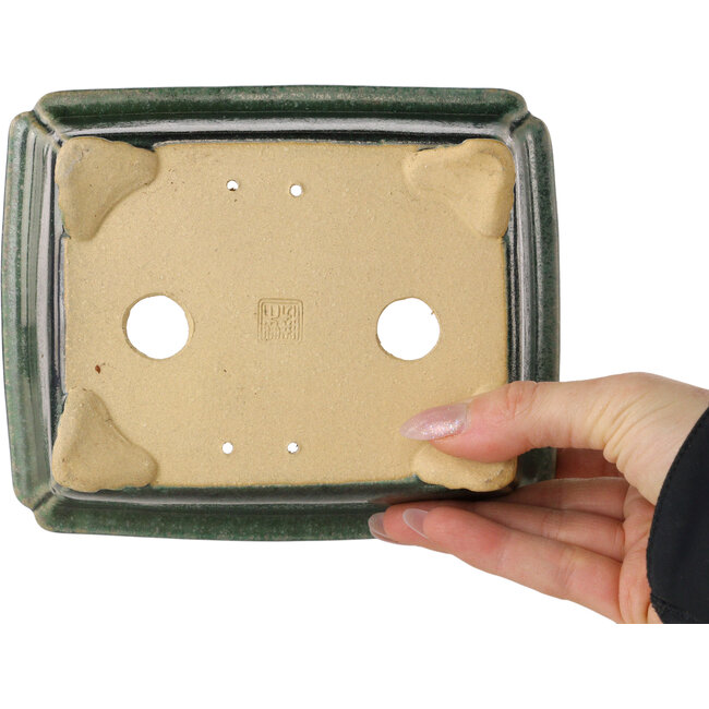 Pot à bonsaï rectangulaire vert foncé de Shibakatsu - 157 x 132 x 65 mm