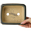 Pot à bonsaï rectangulaire vert foncé de Shibakatsu - 157 x 132 x 65 mm