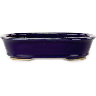  Hattori Tomoyuki Pot à bonsaï ovale bleu foncé de 159 mm par Hattori, Tokoname, Japon