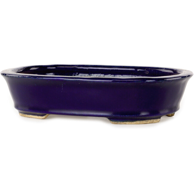 Ovale donkerblauwe bonsaipot van Hattori - 159 x 116 x 37 mm