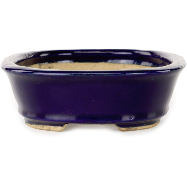 Vaso bonsai ovale blu scuro di Hattori - 159 x 116 x 37 mm