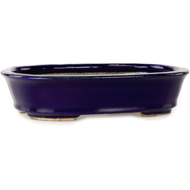 Pot à bonsaï ovale bleu foncé de Hattori - 159 x 116 x 37 mm