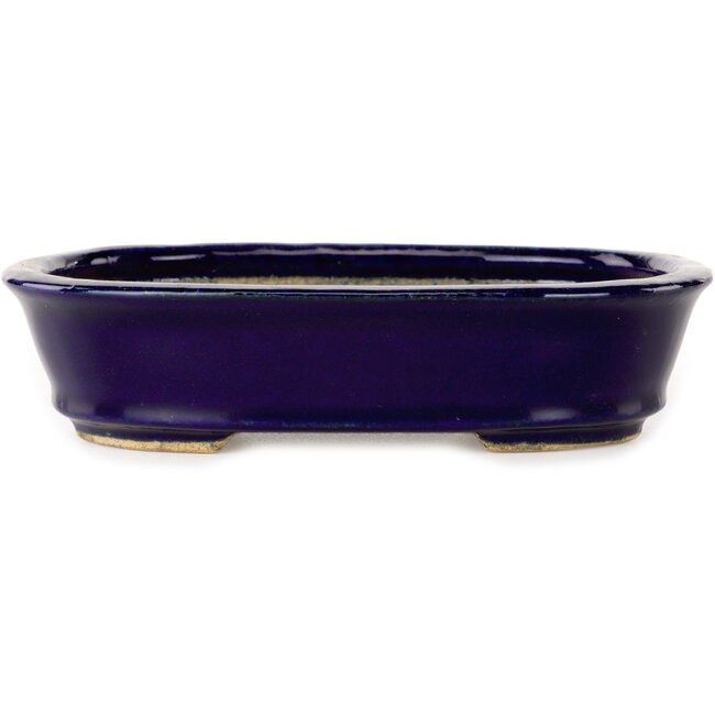 Oval dark blue bonsai pot by Hattori - 159 x 116 x 37 mm