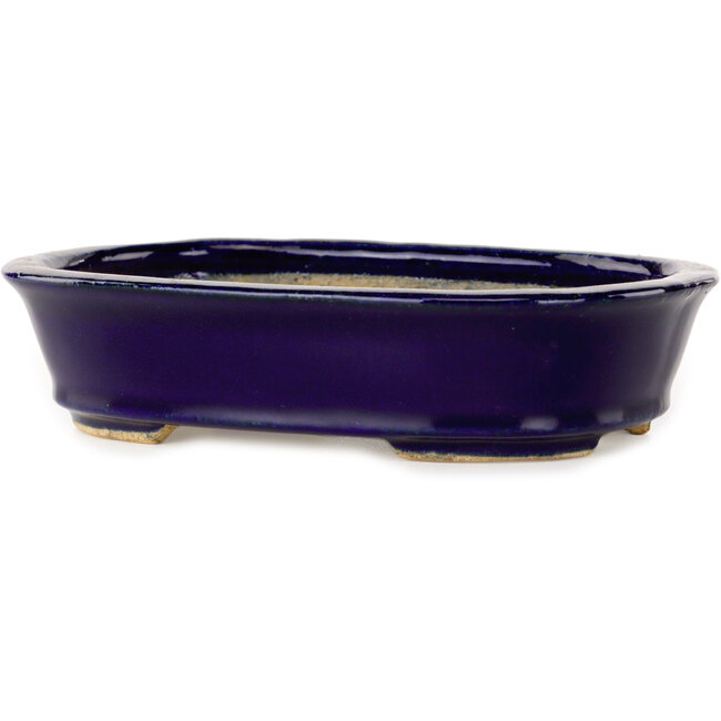 Vaso bonsai ovale blu scuro di Hattori - 159 x 116 x 37 mm