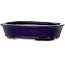 Pot à bonsaï ovale bleu foncé de Hattori - 159 x 116 x 37 mm