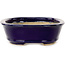 Oval dark blue bonsai pot by Hattori - 159 x 116 x 37 mm