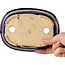 Oval dark blue bonsai pot by Hattori - 159 x 116 x 37 mm
